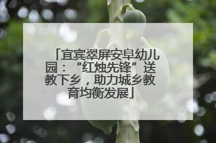 宜宾翠屏安阜幼儿园：“红烛先锋”送教下乡，助力城乡教育均衡发展